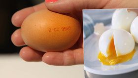 Každé druhé vejce v Česku je z dovozu.