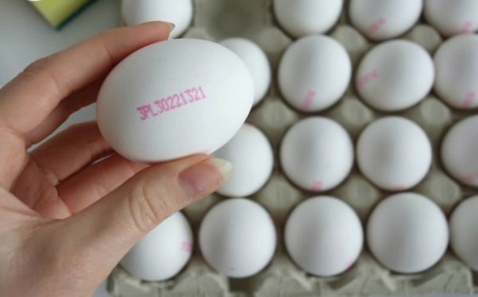 Víte co znamená kód na vejcích?