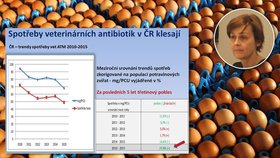 V Česku spotřeba antibiotik u zvířat klesá. (Na obrázku Gabriela dlouhá)