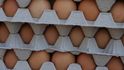 Drůbežáři jen za loňský rok vyvezli na devět trhů, kde teď platí embargo, vejce za 709 milionů korun