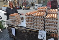 Kolik u vás stojí vejce? Pište nám přímo do článku