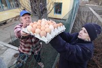 Šílené zdražování: Lidé už kradou vejce i slepice!
