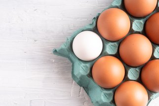 Jak se vyznat ve vejcích: Vyplatí se vsadit na šťastné slepice, nebo jde o marketingový tah?