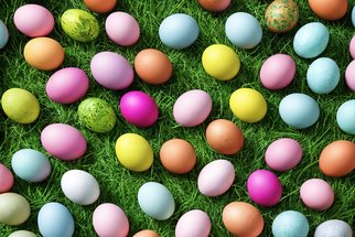 V hlavní roli vajíčka: Vyzkoušejte pomazánku nebo plněná i ztracená vejce