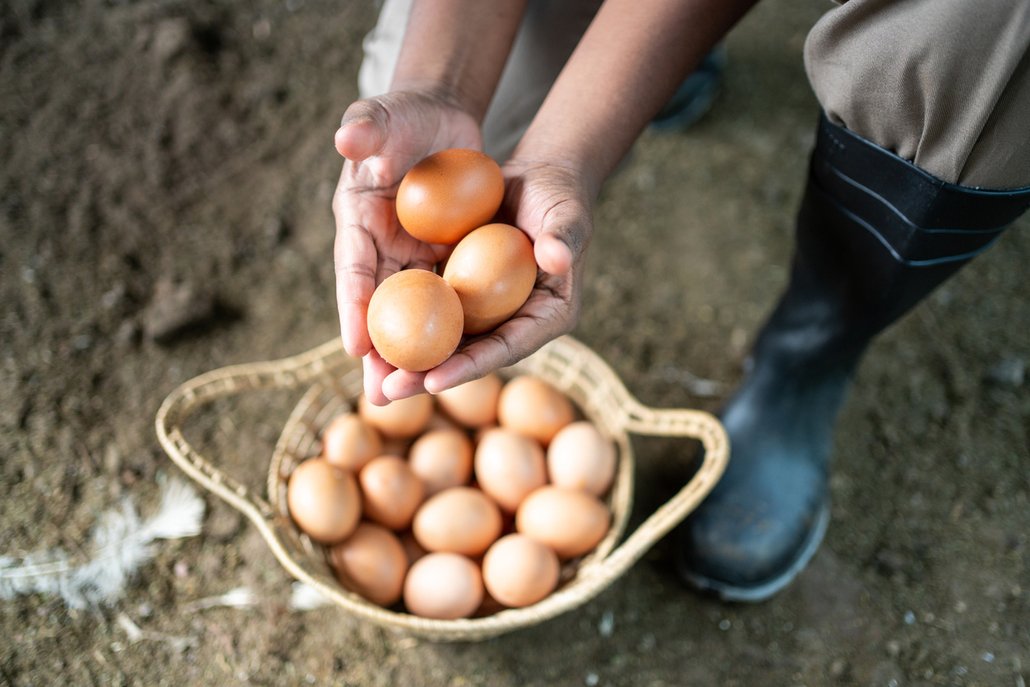 S vejci se o Velikonocích pojí řada rituálů.