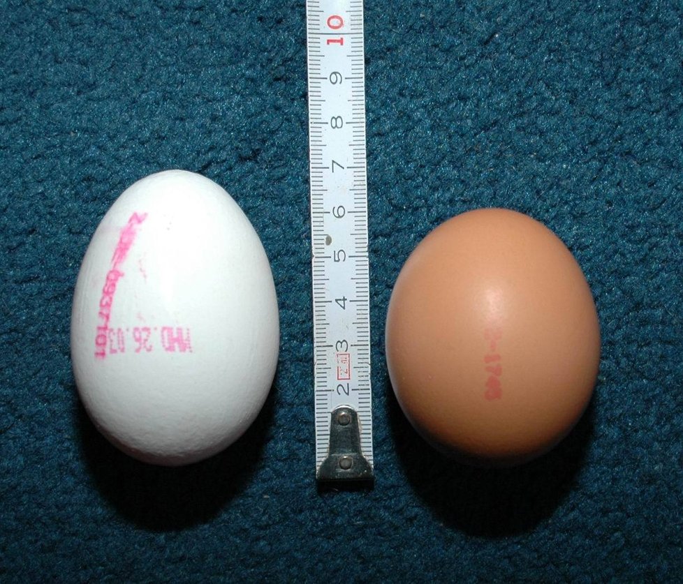 Hmotnostní skupiny vajec