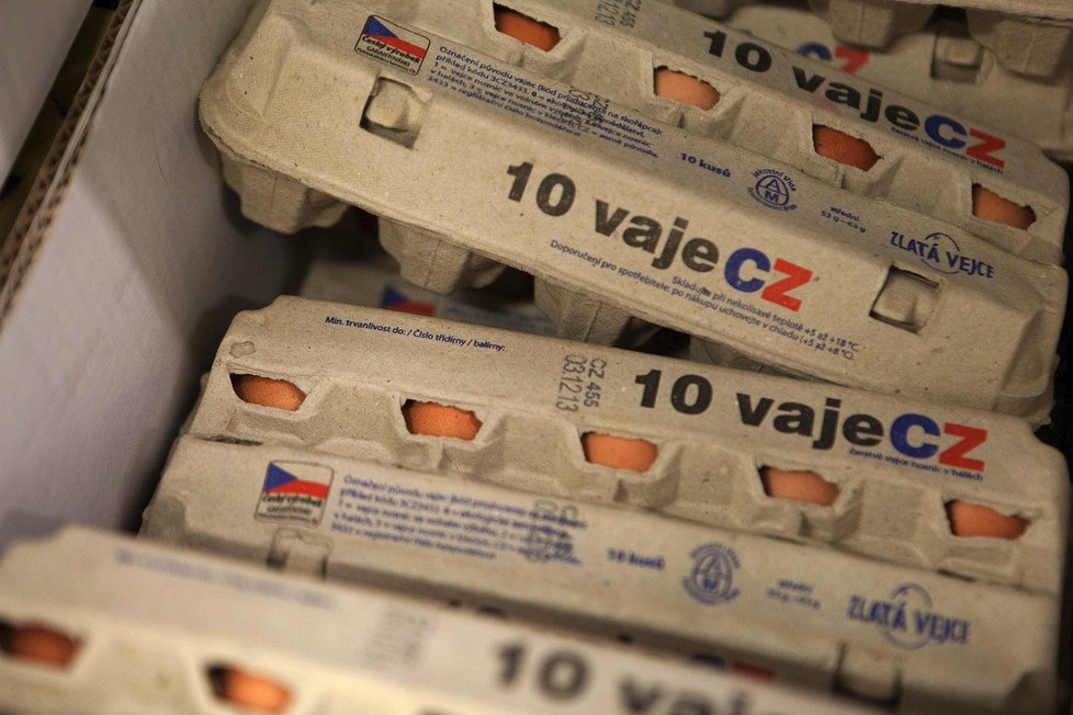 Kontrola vajec před Velikonocemi: Chovatelé v Polsku krmí drůbež antibiotiky.