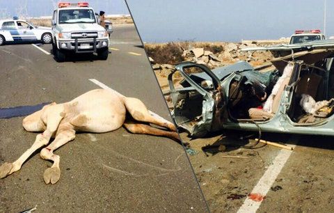 Řidička (†43) v teréňáku narazila do velblouda: Pět lidí zahynulo
