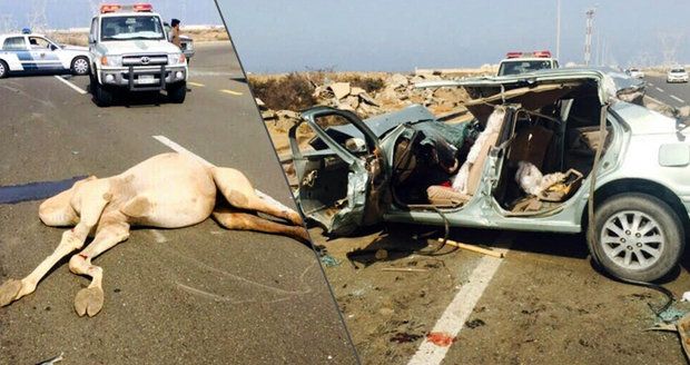 Řidička (†43) v teréňáku narazila do velblouda: Pět lidí zahynulo