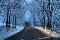 V Česku napadne až 10 centimetrů sněhu. Pozor i na náledí, sledujte radar Blesku