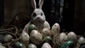 Jsou české Velikonoce skutečně takový horor? Zeptali jsme se umělé inteligence