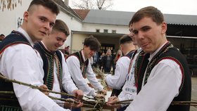 Folkloristé z Němčiček na Břeclavsku upletli v sobotu 30. března 2024 obří pomlázku, měří 15 metrů.