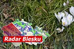 V novém týdnu až -6 °C, Velikonoce s deštníkem. Bude chladněji než na Nový rok, sledujte radar Blesku