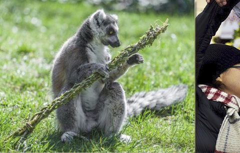 Jak prožít Velikonoce v Praze? Upleťte si pomlázku, vyrazte do zoo na krmení a naučte se mazurku