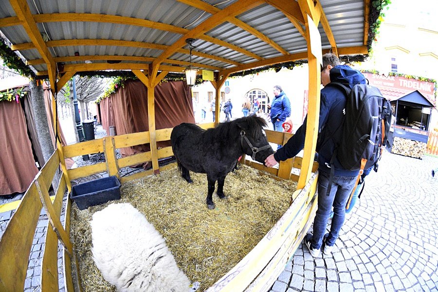 Velikonoční trhy na Kampě