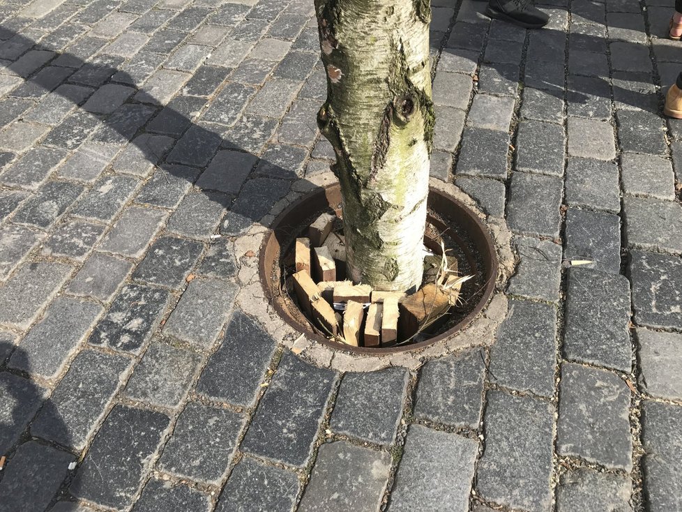 Trhy na Staroměstském náměstí rostly celý týden. Takto vypadaly ve středu, tedy tři dny před spuštěním.