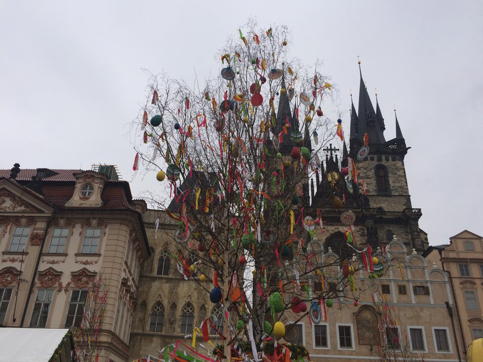 Dominantou velikonočních trhů na Staroměstském náměstí je lípa.