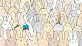 Najděte vejce mezi velikonočními zajíčky: Pátrací šílenství na Facebooku pokračuje