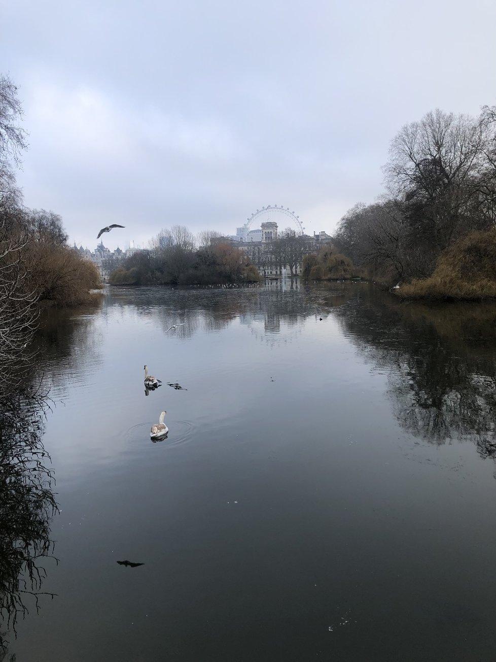 Londýnský park