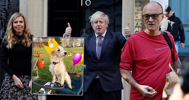 Johnson řeší skandál svého poradce, premiérova snoubenka první narozeniny jejich psa