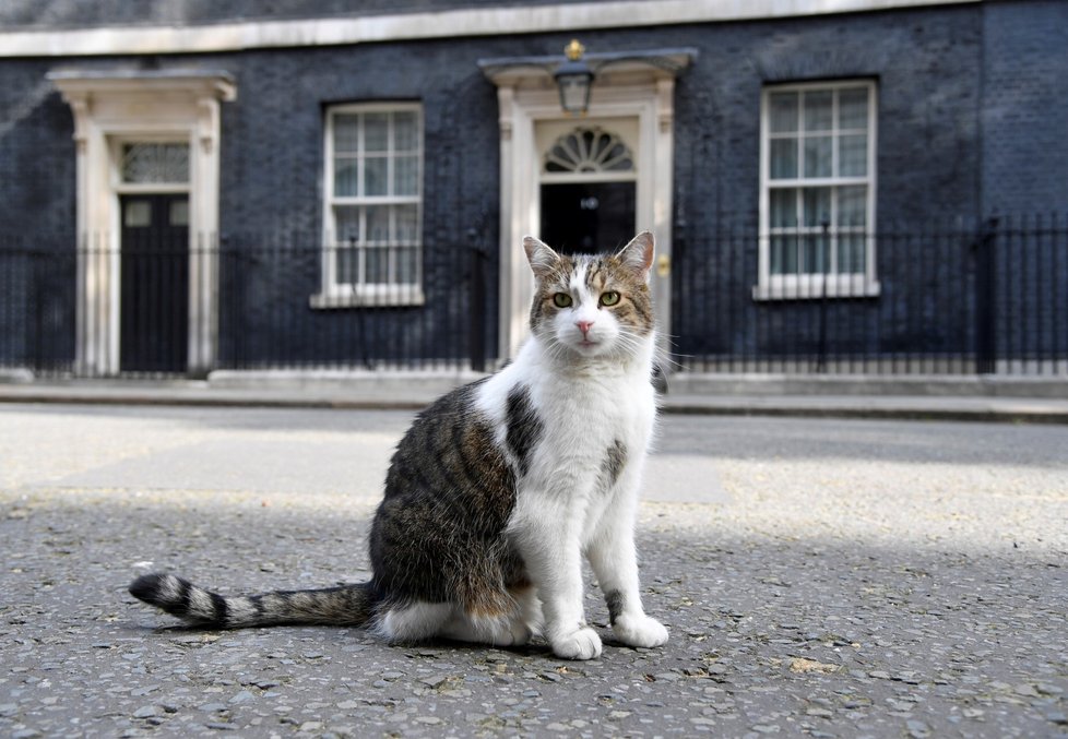 Larry, vrchní myšilov úřadu britské vlády.