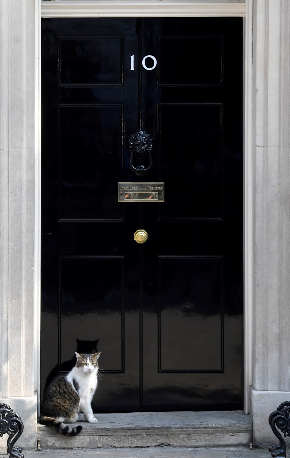 - Zatímco britskou vládu nyní čeká mnoho personálních změn, post &#34;vrchního myšilova&#34; v sídle premiérů v Downing Street ale bude i nadále zastávat populární kocour Larry.