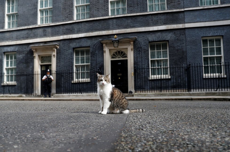 Larry, vrchní myšilov úřadu britské vlády.