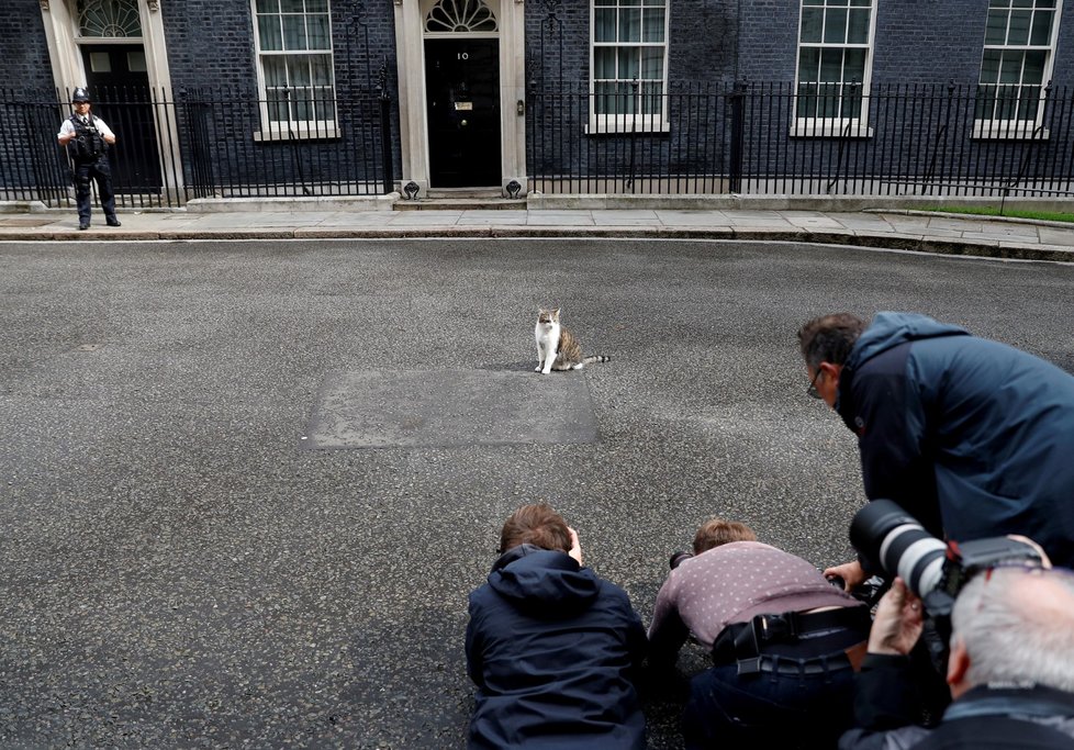 Larry, vrchní myšilov úřadu britské vlády.