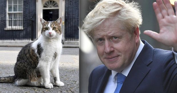 Vrchní myšilov zůstává: Johnson „zdědil“ v Downing Street i hvězdného kocoura Larryho