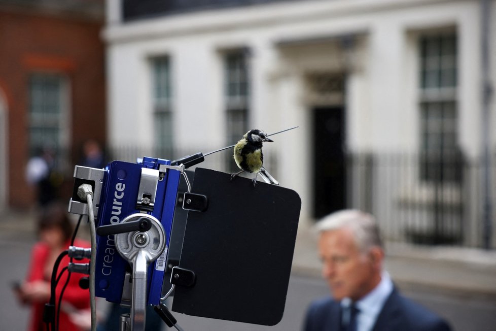 Novináři čekají před Downing street 10 na oznámení rezignace Borise Johnsona.(7.7.2022)