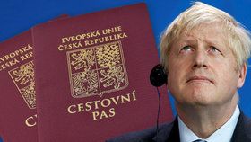 Češi i další Evropané se kvůli brexitu do Británie nehrnou. Kdo za ně bude pracovat?