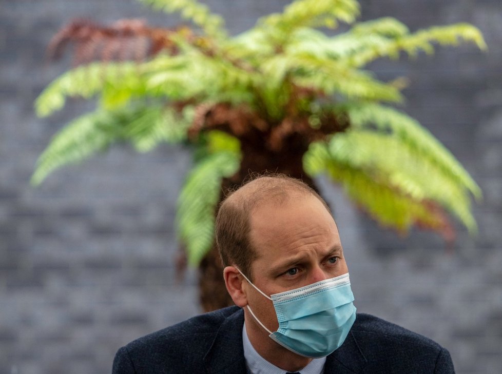 Koronavirus prodělal i princ William.