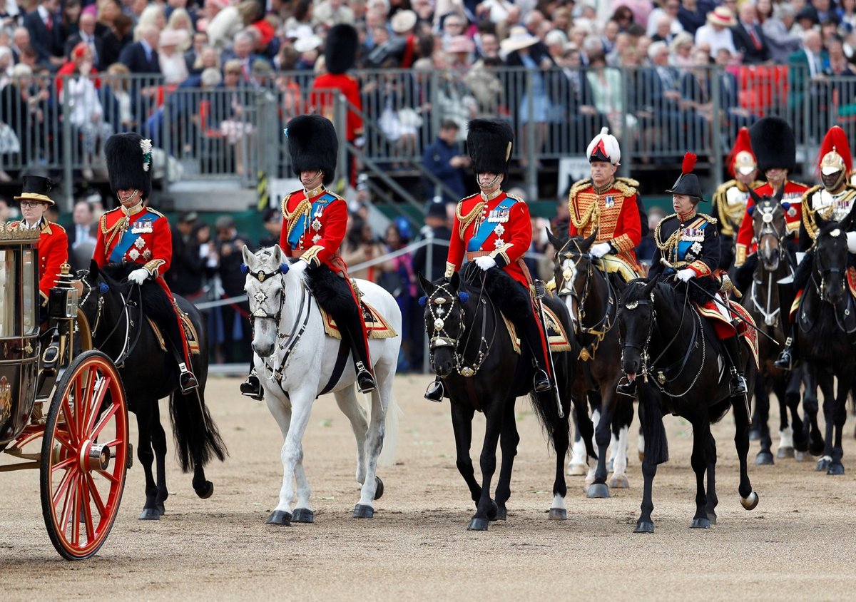 Během oslav narozenin královny Alžběty II. jeden ze členů stráže spadl z koně (8. 6. 2019)
