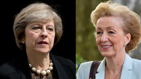 Bezdětná Theresa Mayová a matka tří dětí Andrea Leadsomová, dvě kandidátky na britskou premiérku