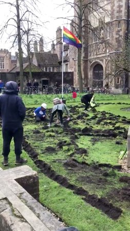 Aktivisté protestovali netradičně - rozkopali trávník u historické budovy univerzity v Cambrigde.