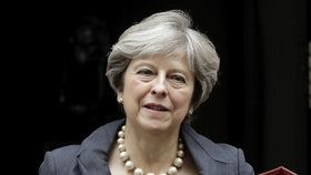 Britská premiérka Theresa Mayová během několika příštích týdnů vystoupí s projevy, v nichž nastíní cestu Británie z Evropské unie.