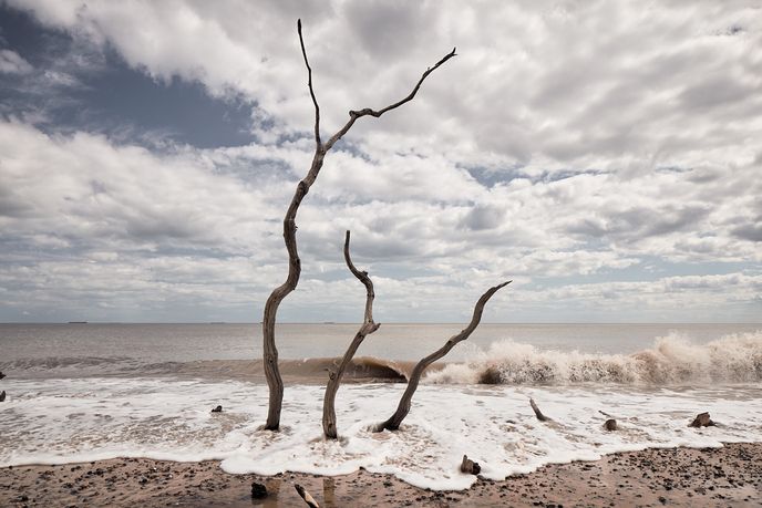 Příliv zaplavuje zbytky stromů na pláži u vesnice Covehithe