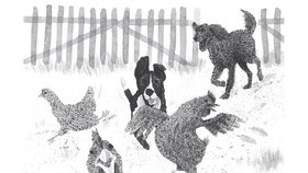 Velká kniha povídek o psech je fajn společníkem i pro „nepejskaře“...
