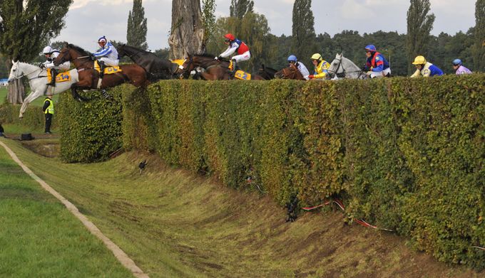 Velká pardubická 2026: Kde sledovat a kdy se běží hlavní dostih? Velká pardubická 2026: Kde sledovat a kdy se běží hlavní dostih?