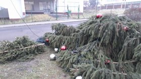 Neznámý vandal pokácel ve Velkém Březně vánoční stromeček.
