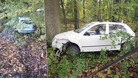 Řidič ve Velkých Losinách nedal přednost liazce, tak skončil v zámeckém parku