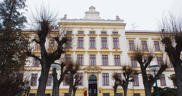 Mladící chodí do místního gymnázia i se sestrou oběti.