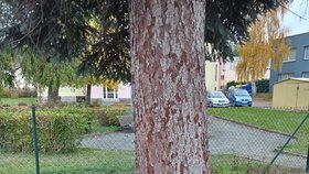 Oblíbená vychovatelka se nevrátila z práce domů.