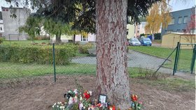 Oblíbená vychovatelka se nevrátila z práce domů.