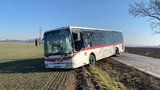 Autobus za Prahou „křísl“ o strom a skončil v poli. Vyjma řidiče se nikdo nezranil