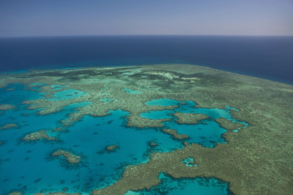 Velký bariérový útes v Austrálii pod je pod ochranou UNESCO. Potápění je tu opravdový zážitek.