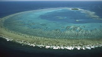 Schopnost obnovy korálů Velkého bariérového útesu klesla o téměř 90 procent 