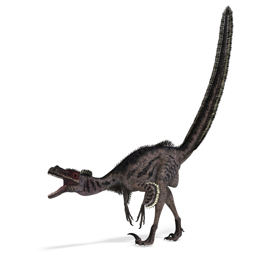 Děsivý lovec Velociraptor mongoliensis