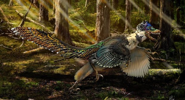 Raptor: Opeřený prehistorický zabiják