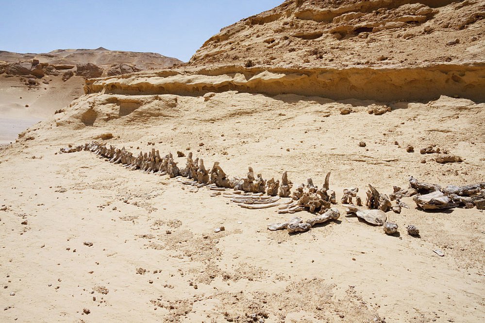 Údolí velryb (Wadi Al-Hitan)